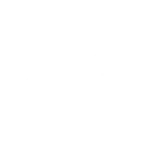 White Logo