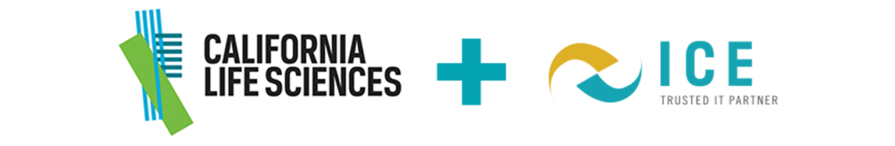 CLs & ICE Consulting Partnership